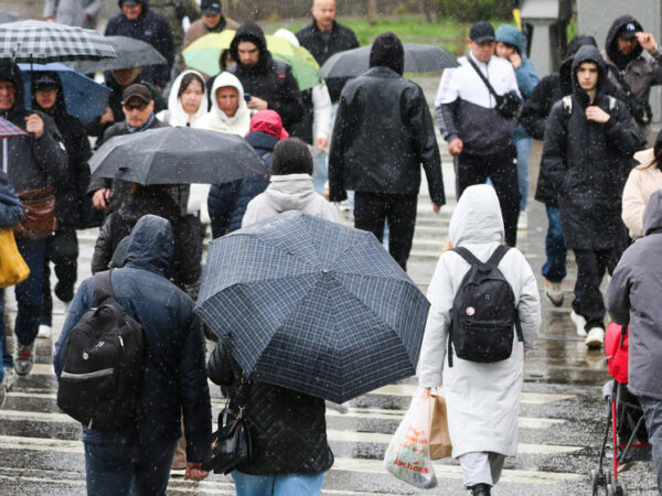 Москвичей предупредили о предстоящих экстремальных ливнях «с подмешиванием мокрого снега»