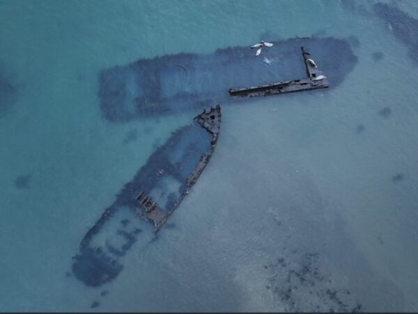 Зеленое будущее: миссия выполнима