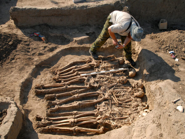 Загадочная окаменелость доисторической стопы оказалась способна встряхнуть все генеалогическое древо человека