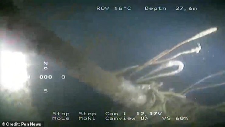 немецкая подводная лодка, немецкая субмарина, адольф гитлер, смерть гитлера, гитлер аргентина, гитлер аргентина, гитлер бразилия, гитлер экспертиза, куда сбежал гитлер, где прятался гитлер, челюсть гитлера, череп гитлера