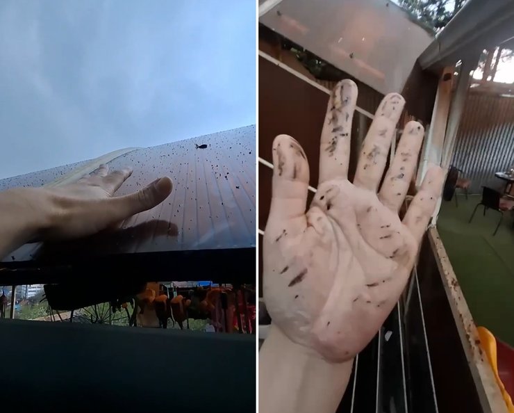 туапсе нефтяной дождь