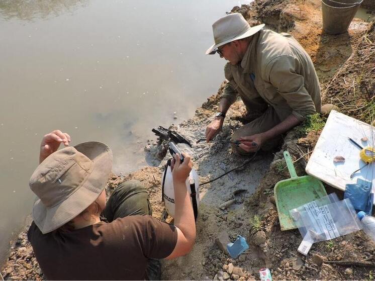 На стоянке homo sapiens под Воронежем найдены редчайшие морские раковины