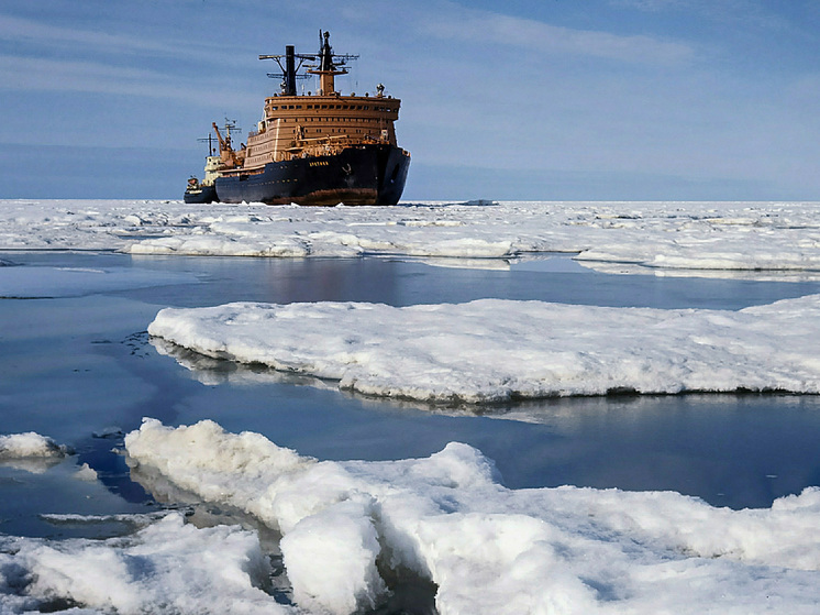 Российские ученые открыли новый вид морских улиток: живут в метановых сипах